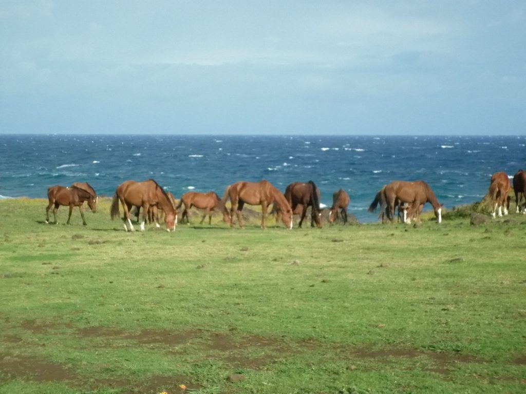 P1000232