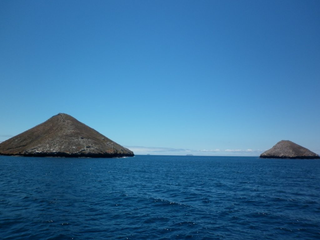 P1000758