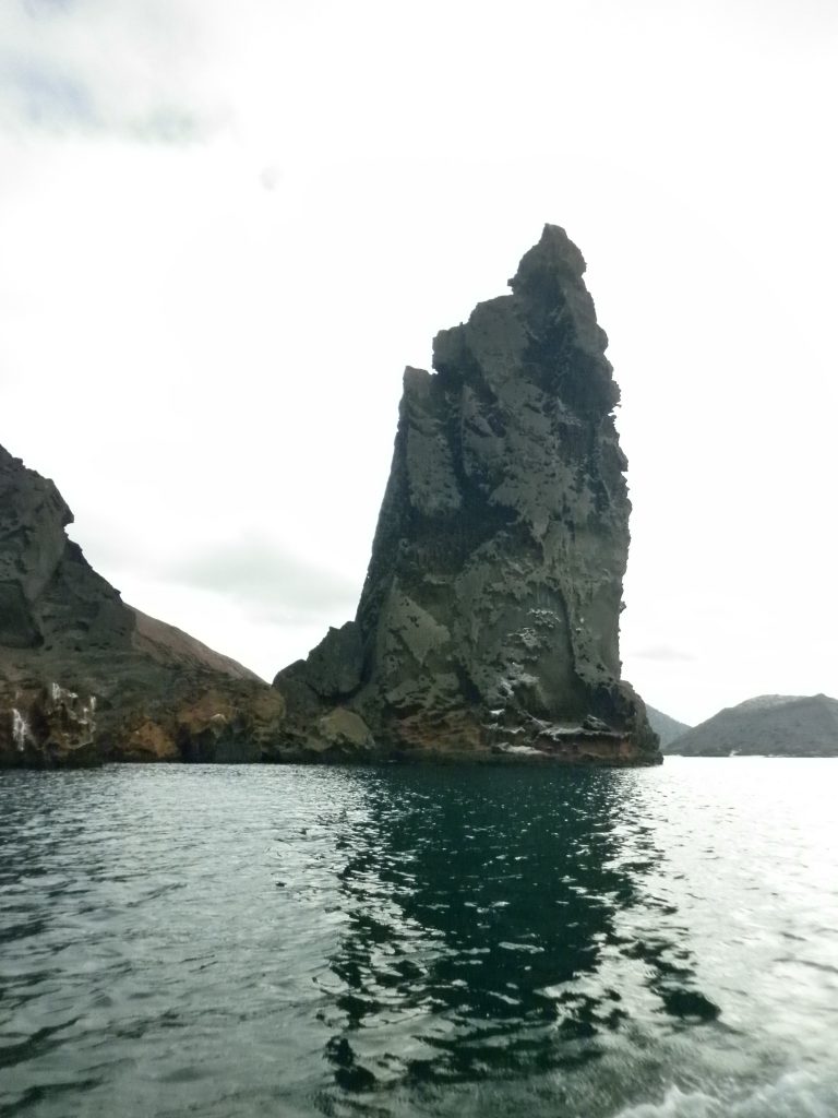 P1000854